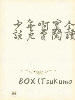 少年啊宾全文小说免费阅读笔趣阁