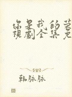 你是我的荣耀电视剧全集免费观看封面