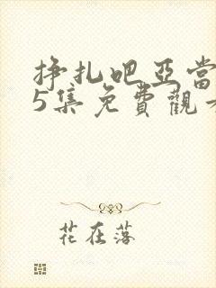 挣扎吧亚当君第5集免费观看