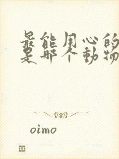 最能用心的生肖是哪个动物