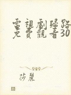 电视剧归路全集免费观看30集完整版封面