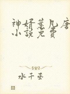 神婿叶凡唐若雪小说免费