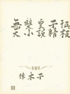 无双皇子征战诸天小说精校