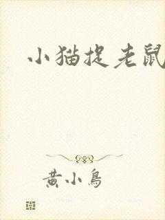 小猫捉老鼠