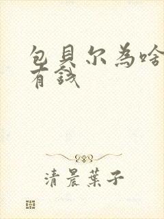 包贝尔为啥这么有钱