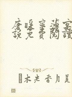 唐暖宁薄宴沉小说免费阅读全文无弹窗