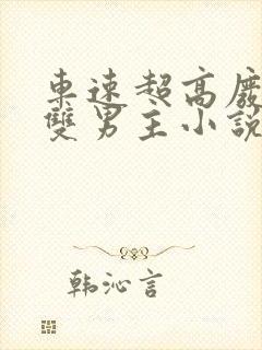 车速超高废文的双男主小说推荐完结