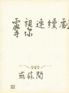 电视连续剧妈妈等你