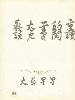 聂太子的重生小说免费阅读封面