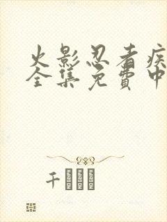 火影忍者疾风传全集免费中文