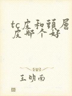 tc皮和头层牛皮哪个好封面