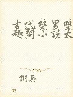 古代双男双性笔趣阁小说太子