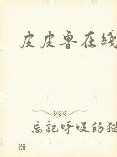 皮皮鲁在线阅读