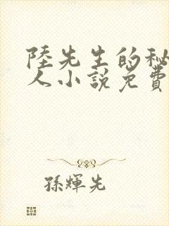 陆先生的秘密恋人小说免费阅读