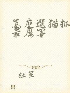 怎么选猫抓老鼠最厉害