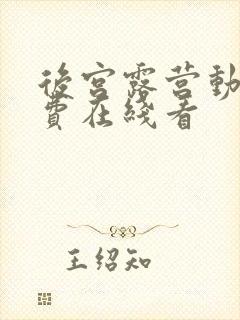 后宫露营动漫免费在线看