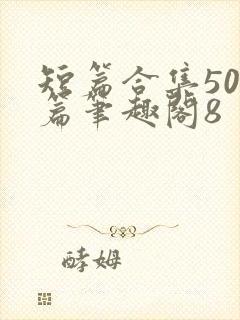 短篇合集500篇笔趣阁8封面