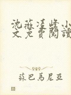 沈薇凌峰小说全文免费阅读最新章节