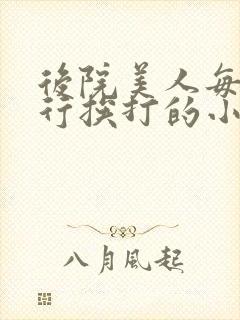 后院美人每日例行挨打的小说封面