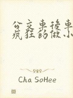 公交车后车座的疯狂的做小