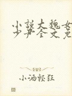 小说大魏女仵作少尹全文免费阅读