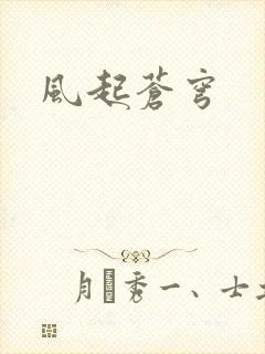 风起苍穹封面