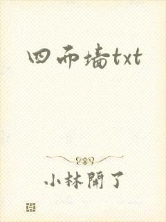 四面墙txt