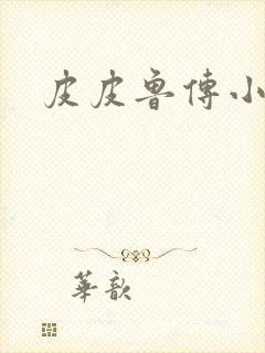 皮皮鲁传小说封面