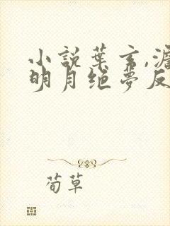 小说叶玄,澹台明月绝梦反派