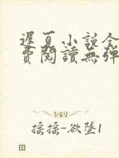 迟夏小说全文免费阅读无弹窗封面