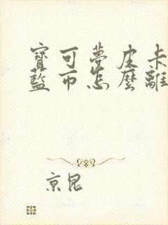 宝可梦皮卡丘华蓝市怎么离开