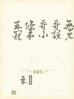 五条哥哥无下限宠弟小说免费阅读全文