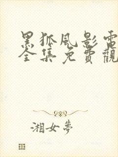 黑狐风影电视剧全集免费观看高清封面