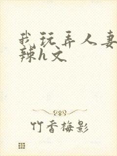 我玩弄人妻系列辣h文