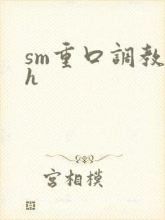 sm重口调教高h