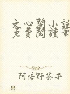 文心阁小说全文免费阅读笔趣阁