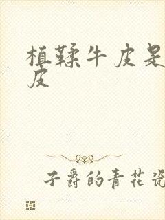 植鞣牛皮是什么皮封面