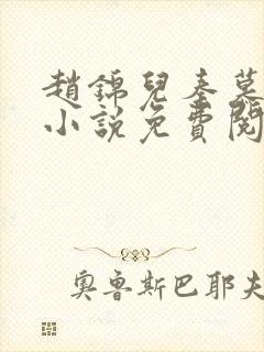 赵锦儿秦慕修的小说免费阅读全文