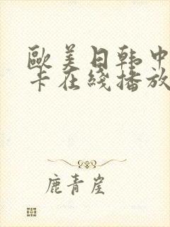 欧美日韩中文不卡在线播放