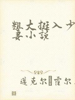 粗大挺入少妇人妻小说封面