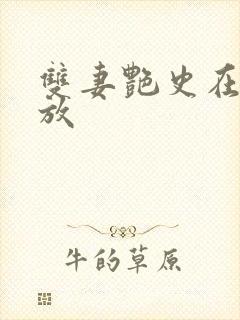 双妻艳史在线播放封面