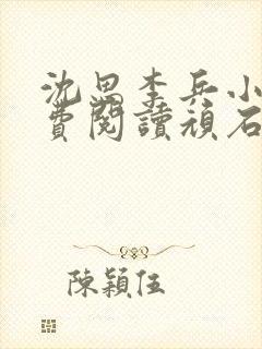 沈思李兵小说免费阅读顽石网