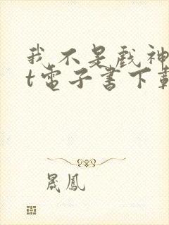 我不是戏神txt电子书下载