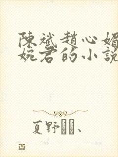 陈斌赵心媚和高婉君的小说