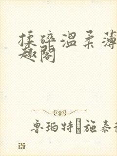 揉碎温柔薄妄笔趣阁