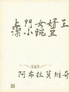 上门女婿王浩李洁小豌豆