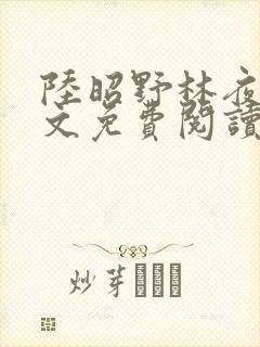 陆昭野林夜棠全文免费阅读最新章节