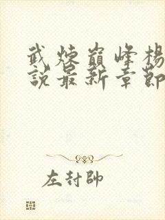 武炼巅峰杨开小说最新章节阅