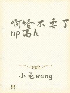 啊哈不要了男男np高h