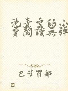 沈青云的小说免费阅读无弹窗全文最新章节